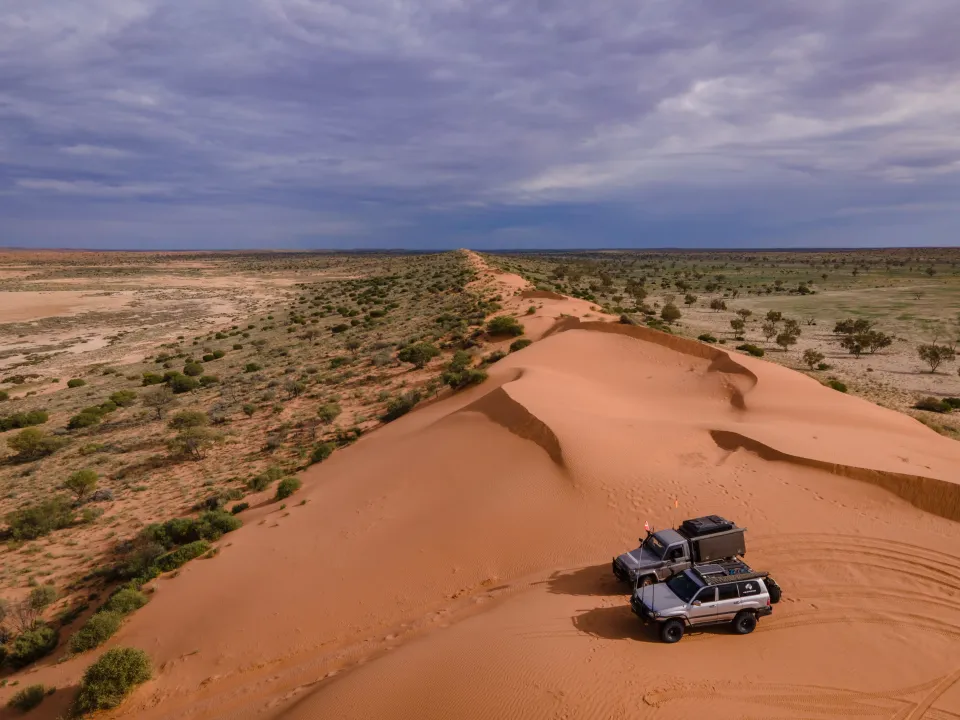 Gallery: Simpson Desert Bird's Eye View