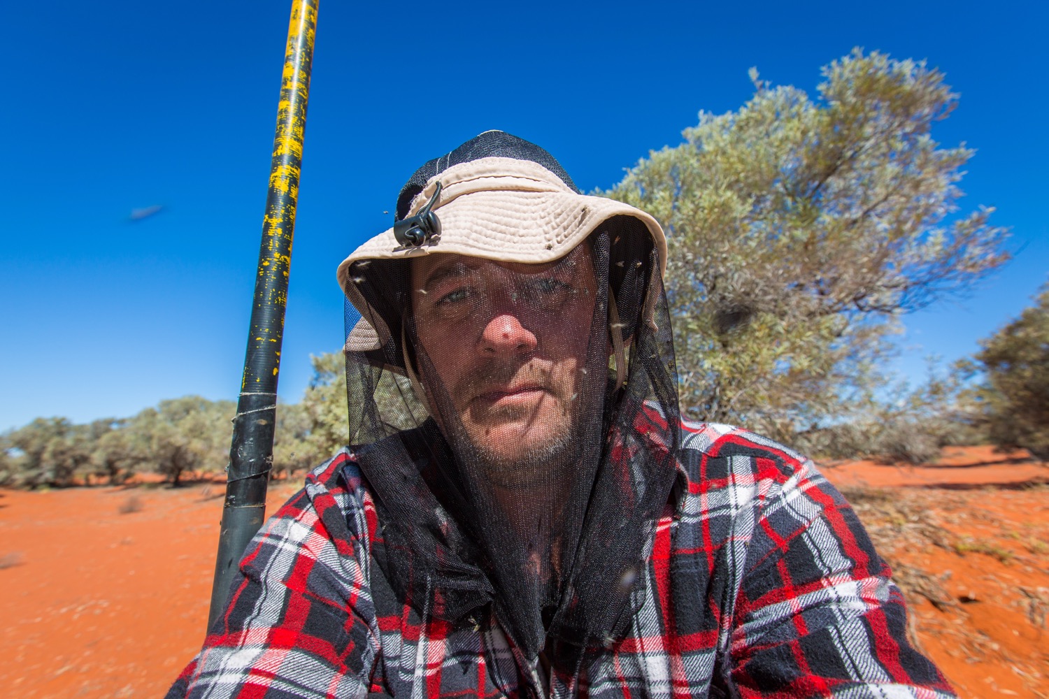 many flies in the Simpson Desert