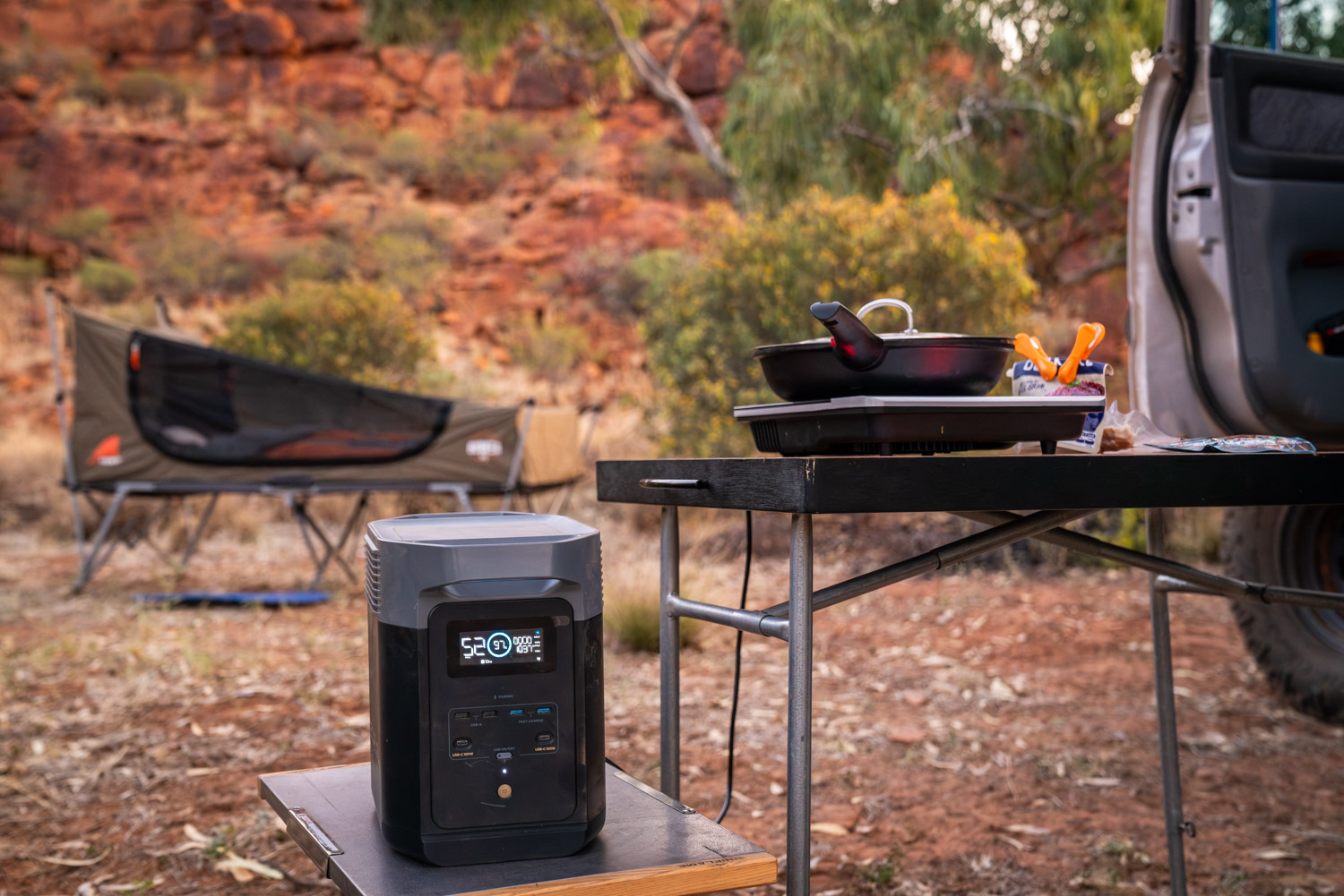 Induction or gas cooking